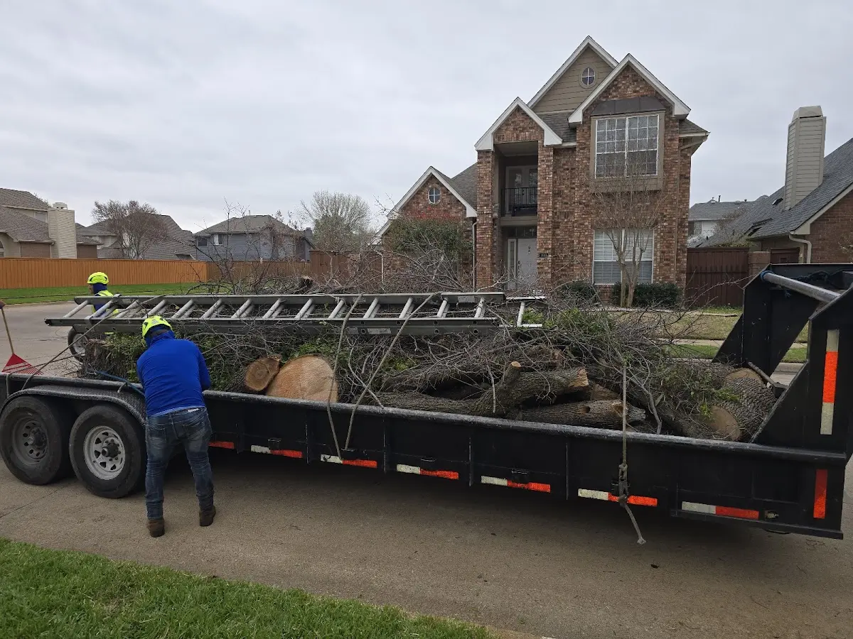 Expert Tree Fertilization with proper safety equipment in Gallina